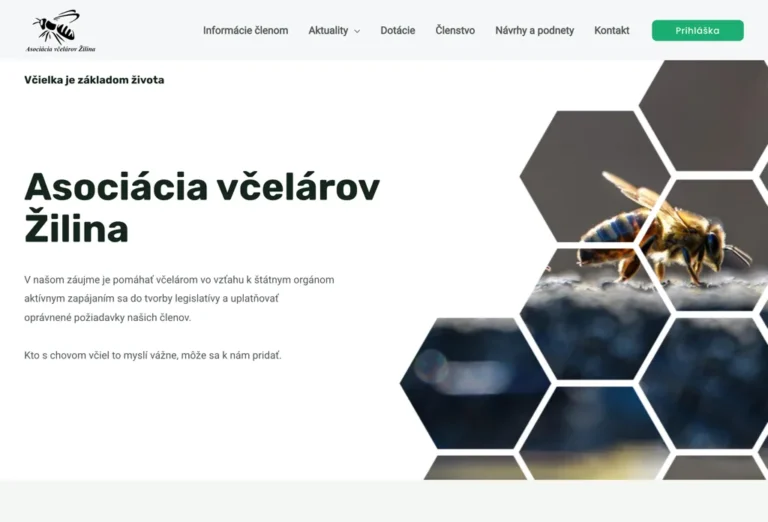 avz.sk, ukážka webu